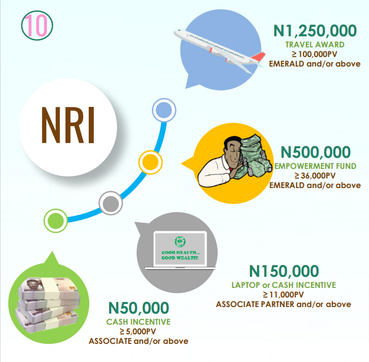 NRI-Compensation-Plan-1-pdf (1)