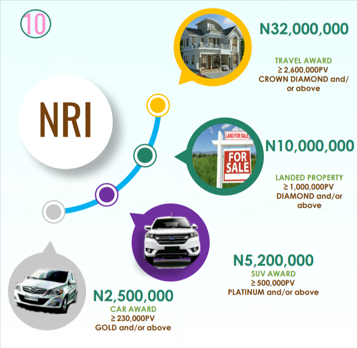 NRI-Compensation-Plan-1-pdf